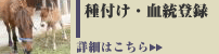 ��t���E�����o�^