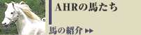 �z�[�X�����̉���
